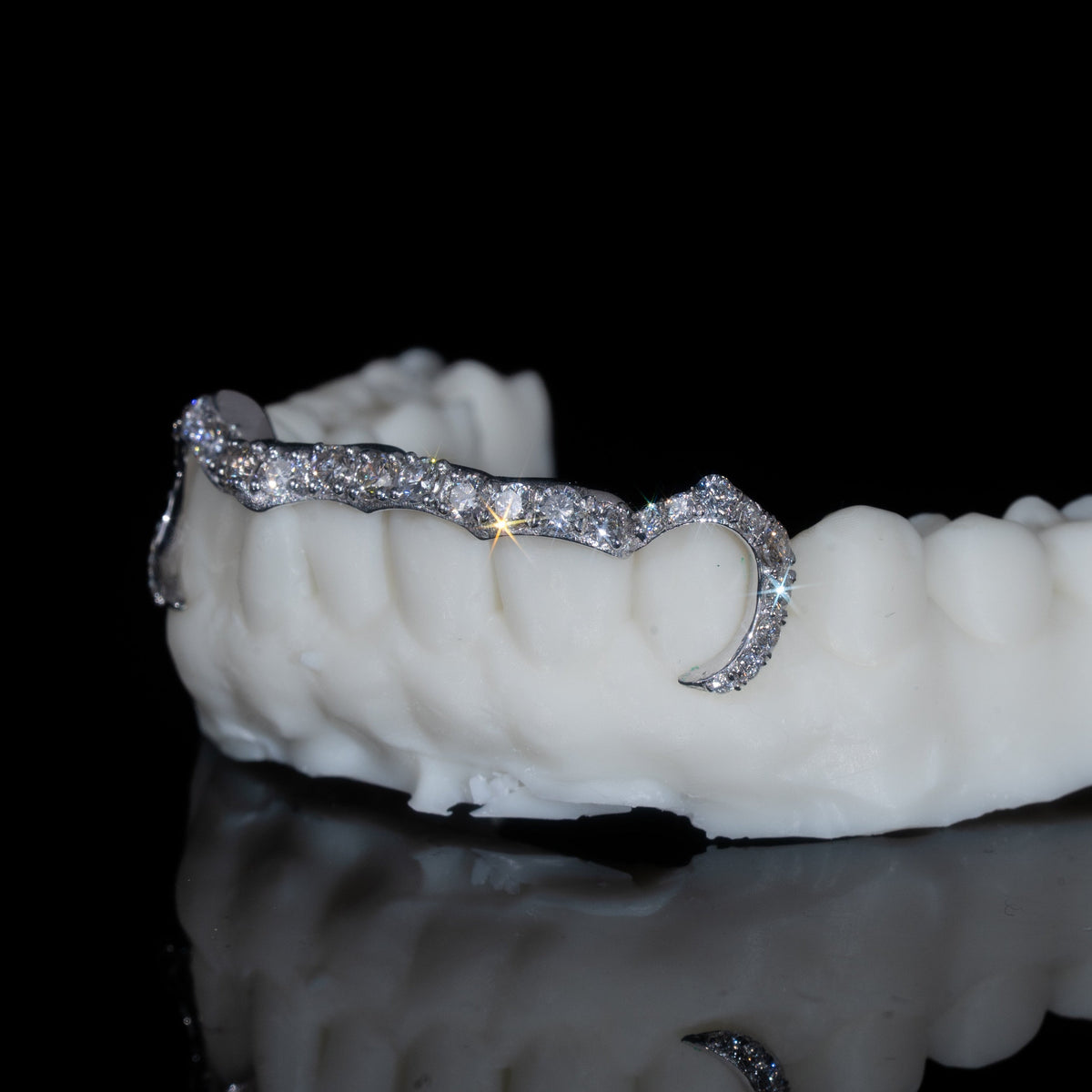 Iced Canine - Canine Halo Bar Set