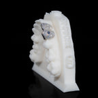 Canine + Incisor Iced | Coloured Gemstone