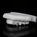 Canine + Incisor Iced | Coloured Gemstone