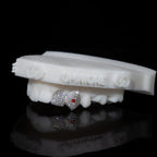 Canine + Incisor Iced | Coloured Gemstone