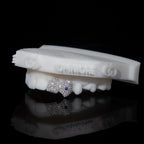 Canine + Incisor Iced | Coloured Gemstone