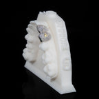 Canine + Incisor Iced | Coloured Gemstone
