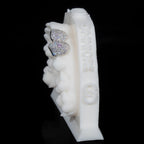 Canine + Incisor Iced | Coloured Gemstone